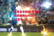 乐鱼足彩购彩-意甲球队铁桶阵tots2021意甲